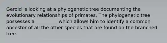 Gerold is looking at a phylogenetic tree documenting the evolutionary relationships of primates. The phylogenetic tree possesses a _________ which allows him to identify a common ancestor of all the other species that are found on the branched tree.