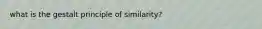 what is the gestalt principle of similarity?