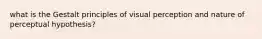 what is the Gestalt principles of visual perception and nature of perceptual hypothesis?