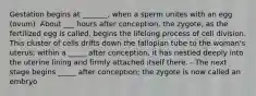 Gestation begins at _______, when a sperm unites with an egg (ovum). About ___ hours after conception, the zygote, as the fertilized egg is called, begins the lifelong process of cell division. This cluster of cells drifts down the fallopian tube to the woman's uterus; within a _____ after conception, it has nestled deeply into the uterine lining and firmly attached itself there. - The next stage begins _____ after conception; the zygote is now called an embryo