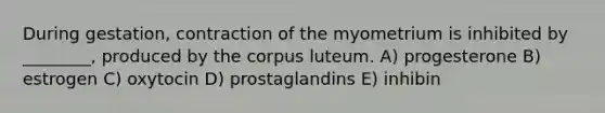 During gestation, contraction of the myometrium is inhibited by ________, produced by the corpus luteum. A) progesterone B) estrogen C) oxytocin D) prostaglandins E) inhibin