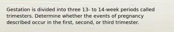 Gestation is divided into three 13- to 14-week periods called trimesters. Determine whether the events of pregnancy described occur in the first, second, or third trimester.