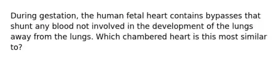 During gestation, the human fetal heart contains bypasses that shunt any blood not involved in the development of the lungs away from the lungs. Which chambered heart is this most similar to?