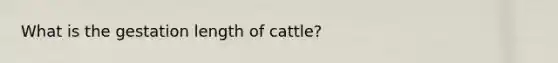 What is the gestation length of cattle?