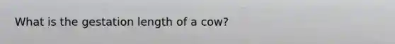 What is the gestation length of a cow?