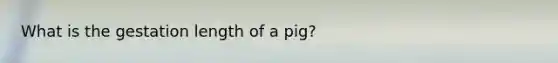 What is the gestation length of a pig?