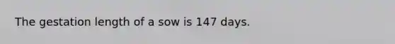 The gestation length of a sow is 147 days.