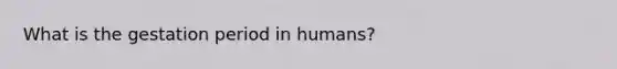 What is the gestation period in humans?