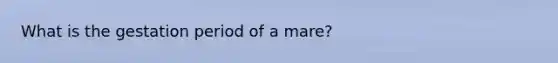 What is the gestation period of a mare?