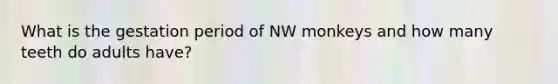 What is the gestation period of NW monkeys and how many teeth do adults have?