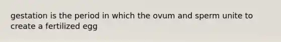 gestation is the period in which the ovum and sperm unite to create a fertilized egg