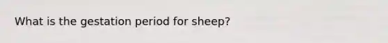 What is the gestation period for sheep?