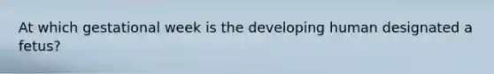 At which gestational week is the developing human designated a fetus?