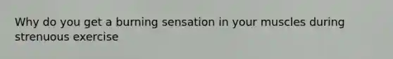 Why do you get a burning sensation in your muscles during strenuous exercise
