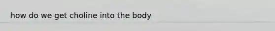 how do we get choline into the body