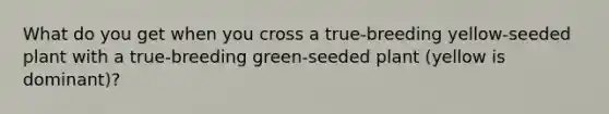 What do you get when you cross a true-breeding yellow-seeded plant with a true-breeding green-seeded plant (yellow is dominant)?