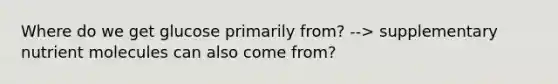 Where do we get glucose primarily from? --> supplementary nutrient molecules can also come from?