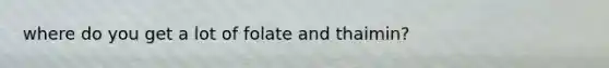 where do you get a lot of folate and thaimin?