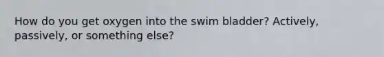 How do you get oxygen into the swim bladder? Actively, passively, or something else?