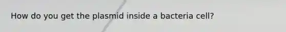 How do you get the plasmid inside a bacteria cell?
