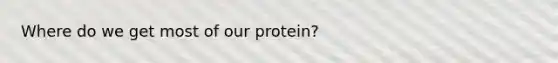 Where do we get most of our protein?