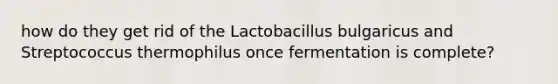 how do they get rid of the Lactobacillus bulgaricus and Streptococcus thermophilus once fermentation is complete?