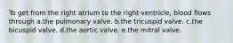 To get from the right atrium to the right ventricle, blood flows through a.the pulmonary valve. b.the tricuspid valve. c.the bicuspid valve. d.the aortic valve. e.the mitral valve.