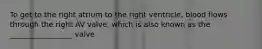 To get to the right atrium to the right ventricle, blood flows through the right AV valve, which is also known as the _________________ valve