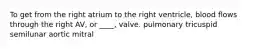 To get from the right atrium to the right ventricle, blood flows through the right AV, or ____, valve. pulmonary tricuspid semilunar aortic mitral