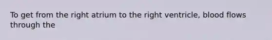 To get from the right atrium to the right ventricle, blood flows through the