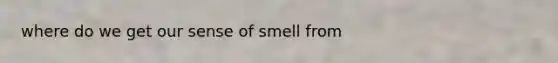 where do we get our sense of smell from