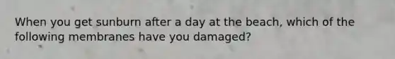 When you get sunburn after a day at the beach, which of the following membranes have you damaged?