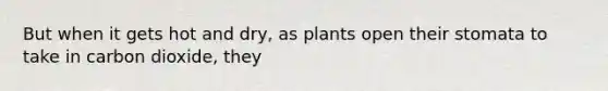 But when it gets hot and dry, as plants open their stomata to take in carbon dioxide, they