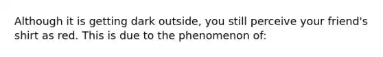 Although it is getting dark outside, you still perceive your friend's shirt as red. This is due to the phenomenon of: