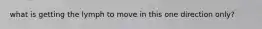 what is getting the lymph to move in this one direction only?