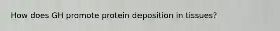 How does GH promote protein deposition in tissues?