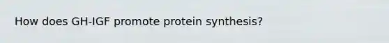 How does GH-IGF promote protein synthesis?