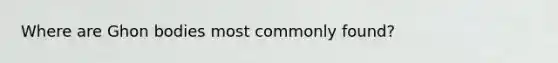 Where are Ghon bodies most commonly found?