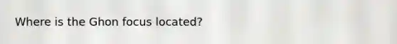 Where is the Ghon focus located?