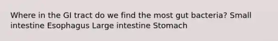 Where in the GI tract do we find the most gut bacteria? Small intestine Esophagus Large intestine Stomach