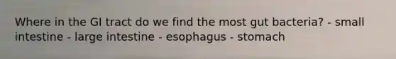 Where in the GI tract do we find the most gut bacteria? - small intestine - large intestine - esophagus - stomach