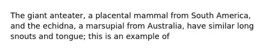 The giant anteater, a placental mammal from South America, and the echidna, a marsupial from Australia, have similar long snouts and tongue; this is an example of