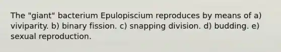 The "giant" bacterium Epulopiscium reproduces by means of a) viviparity. b) binary fission. c) snapping division. d) budding. e) sexual reproduction.