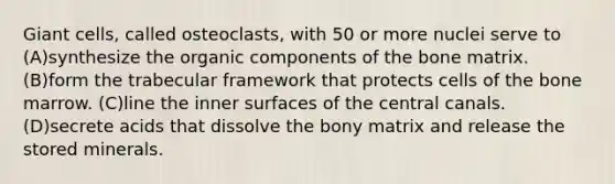 Giant cells, called osteoclasts, with 50 or more nuclei serve to (A)synthesize the organic components of the bone matrix. (B)form the trabecular framework that protects cells of the bone marrow. (C)line the inner surfaces of the central canals. (D)secrete acids that dissolve the bony matrix and release the stored minerals.