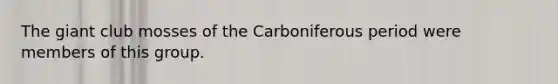 The giant club mosses of the Carboniferous period were members of this group.