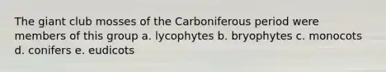 The giant club mosses of the Carboniferous period were members of this group a. lycophytes b. bryophytes c. monocots d. conifers e. eudicots