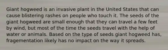 Giant hogweed is an invasive plant in the United States that can cause blistering rashes on people who touch it. The seeds of the giant hogweed are small enough that they can travel a few feet by wind, but most of the time the seeds travel with the help of water or animals. Based on the type of seeds giant hogweed has, fragementation likely has no impact on the way it spreads.