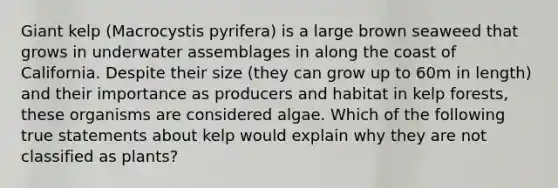 Giant kelp (Macrocystis pyrifera) is a large brown seaweed that grows in underwater assemblages in along the coast of California. Despite their size (they can grow up to 60m in length) and their importance as producers and habitat in kelp forests, these organisms are considered algae. Which of the following true statements about kelp would explain why they are not classified as plants?