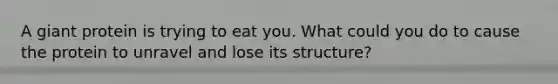 A giant protein is trying to eat you. What could you do to cause the protein to unravel and lose its structure?