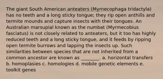 The giant South American anteaters (Myrnecophaga tridactyla) has no teeth and a long sticky tongue; they rip open anthills and termite mounds and capture insects with their tongues. An Australian marsupial known as the numbat (Myrmecobius fasciatus) is not closely related to anteaters, but it too has highly reduced teeth and a long sticky tongue, and it feeds by ripping open termite burrows and lapping the insects up. Such similarities between species that are not inherited from a common ancestor are known as ________. a. horizontal transfers b. homoplasies c. homologies d. mobile genetic elements e. toolkit genes